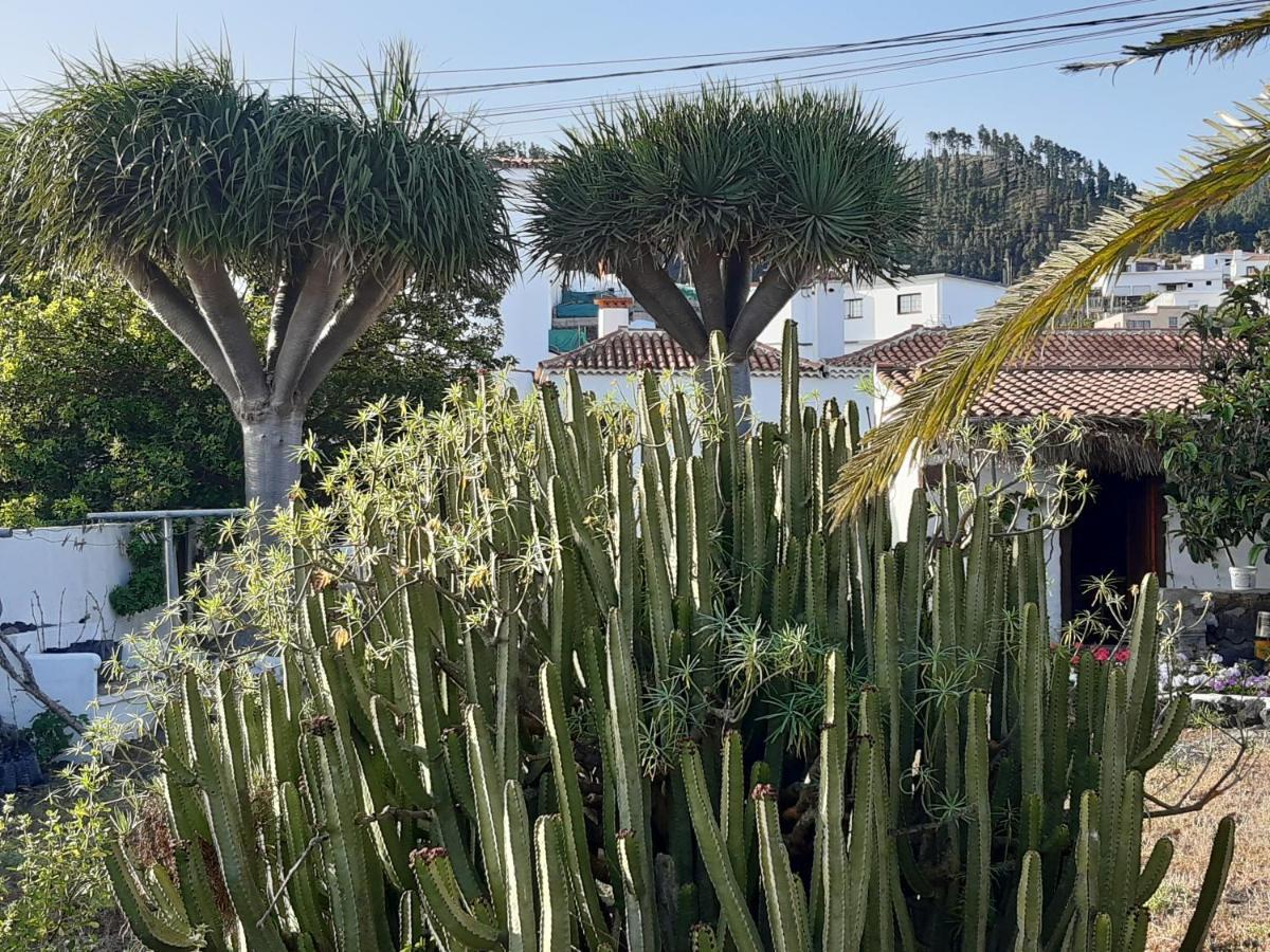 Casa Rural Los Dragos Fuencaliente de la Palma Eksteriør billede